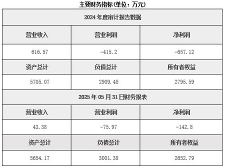 湖南有色金屬礦采選公司轉(zhuǎn)讓項(xiàng)目