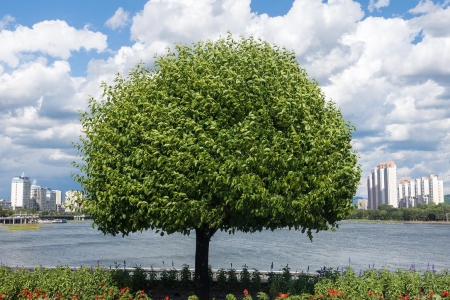 環(huán)保技術(shù)研發(fā)|北京環(huán)保技術(shù)研發(fā)公司轉(zhuǎn)讓項目 100%股權(quán)轉(zhuǎn)讓31BJ-1205