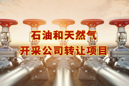 找項(xiàng)目網(wǎng)為您精選國(guó)資石油和天然氣開采公司轉(zhuǎn)讓項(xiàng)目專題！