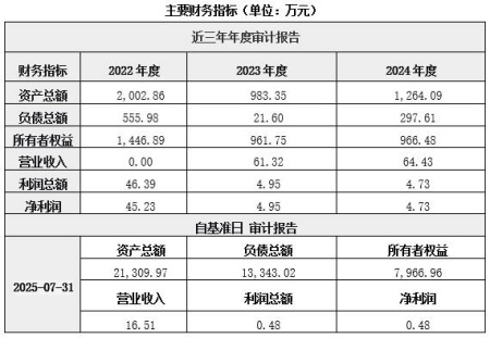 山東衛星技術服務公司增資項目